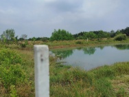 CHÍNH CHỦ CẦN BÁN GẤP ĐẤT TẠI XÃ BÌNH KHÁCH, CẦN GIỜ, TP. HỒ CHÍ