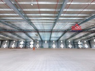 XT044 Cho thuê nhà máy sản xuất xây dựng mới 100% PCCC Sprinkler,