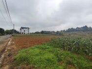 Đất tái định cư Đồng Doi – điểm sáng đầu tư gần ĐHQG Hà Nội