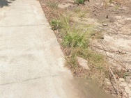 HOT ĐẤT ĐẸP- GIÁ TỐT CẦN BÁN NHANH LÔ ĐẤT TẠI huyện Đất Đỏ, tỉnh