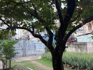 HOT HOT - Đất chính Chính Chủ Mặt tiền đường Nguyễn Ảnh Thủ, Quận