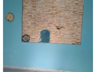 CHO THUÊ NHÀ CẤP 4 NGAY TRUNG TÂM TP BUÔN MA THUỘT, ĐẮK LẮK