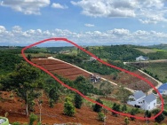 ĐẤT HẺM LÝ THÁI TỔ – BẢO LỘC , LÂM ĐỒNG 4.550m² ,OTO TỚI ĐẤT ,GIÁ