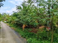 CHÍNH CHỦ CẦN BÁN ĐẤT CÓ VỊ TRÍ ĐEP -tại KCN LONG GIANG  - XÃ TÂN