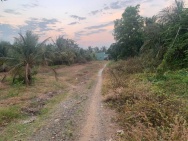 ĐẤT VƯỜN – GIÁ TỐT  – CHÍNH CHỦ CẦN BÁN Tại Cầu Vĩnh Lạc, Xã Vĩnh