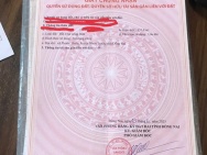 ĐẤT  ĐẸP – GIÁ TỐT  – CHÍNH CHỦ CẦN BÁN TẠi  Xã Phước Thiền, Nhơn