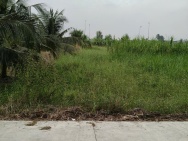 Cần bán lô đất thổ cư mặt tiền đường đan bờ kênh N3, Phường Tân