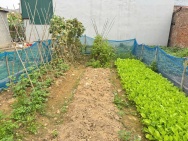 Bán 82m đất Tam Đồng, Mê Linh, HN. Đất vuông vắn, full thổ cư. Mặt