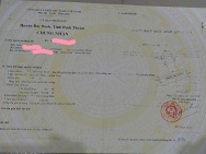 ĐẤT ĐẸP – GIÁ TỐT  – CHÍNH CHỦ CẦN BÁN GẤP tại  Xã Hải Ninh, Huyện