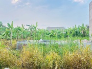 ĐẤT ĐẸP – GIÁ TỐT  – CHÍNH CHỦ CẦN BÁN Tại Lốc C KHU DÂN CƯ ĐẠI LỘC