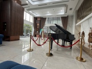 Cho Thuê Căn Hộ Cao Cấp Tại Paris Hoàng Kim – Trung Tâm Quận 2