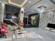 Bán nhà Biệt thự Lê Văn Quới - gần BÌnh Trị Đông, HXH8m, 7x22m 4