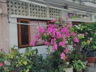 BÁN NHÀ THỔ CƯ TT CẦN GIỜ – VỊ TRÍ ĐẸP – GẦN BIỂN – CHÍNH CHỦ