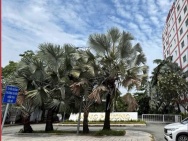 SIÊU QUỸ ĐẤT MT NGUYỄN VĂN QUÁ – 2.631M² FULL THỔ – NGANG 32M NỞ