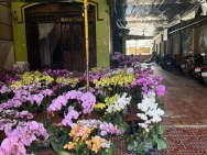 CHO THUÊ MẶT BẰNG KINH DOANH TẠI GIA LAI