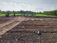 Quảng lộ phụng hiệp Đường 1, Phường 2, Ngã Năm, Sóc Trăng