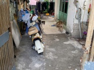 BÁN ĐẤT GẦN ĐƯỜNG ĐẶNG THÚC VỊNH – ĐÔNG THẠNH, HÓC MÔN