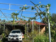 BÁN GẤP VƯỜN TRÁI CÂY VEN KÊNH – 1.100M² – CHỈ 4,8TR/M² – GIÁ MỀM