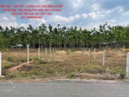 ĐẤT ĐẸP – GIÁ TỐT – CHÍNH CHỦ CẦN BÁN LÔ ĐẤT tại Tân Lập – Tân