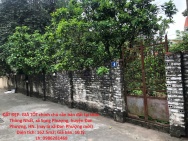 ĐẤT ĐẸP- GIÁ TỐT chính chủ cần bán đất tại thôn Thông Nhất, xã Song