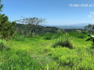 BÁN NHANH ĐẤT NGHỈ DƯỠNG HOMESTAY – LÂM ĐỒNG GIÁ TỐT