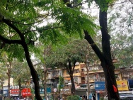 Bán liền kề Láng Hạ,Giarng Võ dt110m2, mặt tiền rộng 7,5  tầng, vị