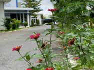 XT082 nhà xưởng sản xuất cho thuê lâu dài, thu hút nhiều ngành nghề