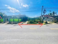 CHÍNH CHỦ CẦN TIỀN BÁN GẤP  ĐẤT MẶT TIỀN TỈNH LỘ 8 – DIÊN LÂM, DIÊN