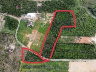 BÁN ĐẤT VIEW ĐẸP TẠI TP. BẢO LỘC – GIÁ CHỈ 1,4 TỶ/SÀO