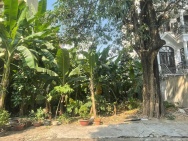 Quỹ đất hiếm - Mặt tiền đường số 33 - Trần Não - đường 12m - view