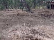 ĐẤT ĐẸP GIÁ TỐT – CẦN BÁN ĐẤT ĐẮK NGUYÊN – Xã Đắk Ngo, Huyện Tuy