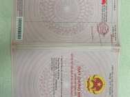 CHÍNH CHỦ CẦN BÁN GẤP 5 LÔ ĐẤT THỔ CƯ LIỀN KỀ TẠI LONG AN – GIÁ TỐT