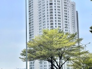 Bán đất nông nghiệp 64m2 tại Bình Chánh, giá 1.6 tỷ, đường 18A, Tân