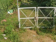 CHÍNH CHỦ BÁN ĐẤT MẶT TIỀN TRUNG TÂM LỘC THẮNG - BẢO LÂM  - LÂM ĐỒNG