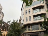 Bán nhà mặt phố Ba Đình, lô góc, 100m2, mặt tiền 6m, kinh doanh