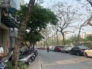 CẦU GIẤY – LÔ ĐẤT 230M² MẶT TIỀN 15M – HÀNG HIẾM “KHÔNG CÓ LẦN 2” –