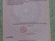 Chính chủ cần nhượng lại 2 lô đất liền kề với tổng diện tích cực