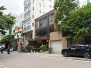 Bán nhà phố Đào Tấn Phan Kế Bính, ô tô tránh, kinh doanh, 75m chỉ