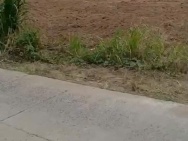 ĐẤT ĐẸP – GIÁ TỐT – CHÍNH CHỦ CẦN BÁN ĐẤT Tại Ngã 3 Km78, QL26, X.