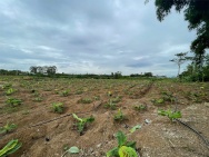 CƠ HỘI ĐẦU TƯ SIÊU HẤP DẪN - CẦN BÁN GẤP ĐẤT – GIÁ NGỘP HIẾM CÓ TẠI