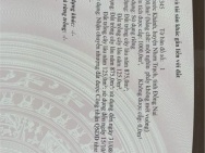 ĐẤT  ĐẸP – GIÁ TỐT  – CHÍNH CHỦ CẦN BÁN GẤP ĐẤT Tại Xã Phước Khánh,