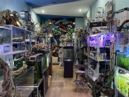 Bán Nhà Đường Điện Biên Phủ Đà Nẵng 3 Tầng, điện tích đất 96m², Vị