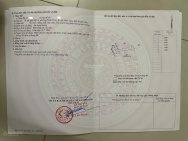 Cần bán đất mặt tiền đường Lê Hồng Phong - phường Đông Ninh Hòa