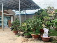 GẤP GẤP – SIÊU PHẨM ĐẤT LỚN NỞ HẬU DƯƠNG CÔNG KHI – GIÁ CHỈ 11 TỶ