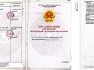 ĐẤT ĐẸP - ĐẦU TƯ SINH LỜI - Chính Chủ Bán Nhanh Lô Đất Xã Lý Nhơn,