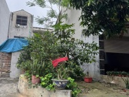 CHÍNH CHỦ BÁN ĐẤT ĐẸP KHU ĐỒI ÔNG TO – PHƯỜNG NÔNG TRANG, TP. VIỆT