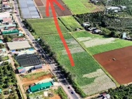 ĐẤT CHÍNH CHỦ - GIÁ TỐT Tại QL20 Xã Hòa Ninh, Huyện Di Linh, Tỉnh
