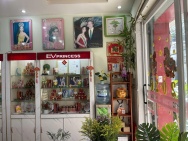 Tân Bình ! MB ĐẸP LẮM, SANG MB GIÁ RẺ Thích hợp Kinh doanh Nail