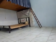 CHO THUÊ CHUNG CƯ GẦN CHỢ TÂN BÌNH , PHƯỜNG 6 , DỌN VÀO Ở NGAY
