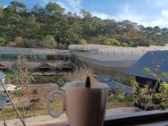 Cho thuê Homestay Dankia phường 7 Đà Lạt 50 triệu/tháng